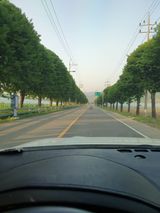 팜모닝 자유주제·사진전 게시글 이미지