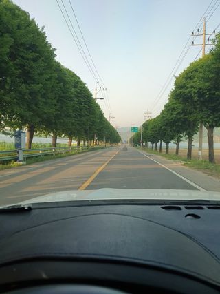 김옥자님의 자유주제 · 사진전 작성글 사진