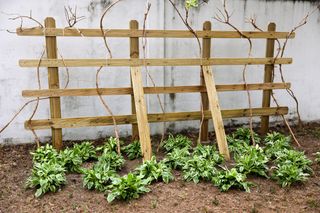 꼬마농부님의 자유주제 · 사진전 작성글 사진