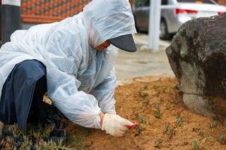 꼬마농부님의 자유주제 · 사진전 작성글 사진