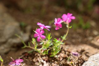 꼬마농부님의 자유주제 · 사진전 작성글 사진