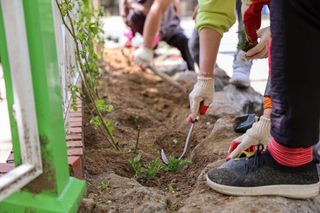 꼬마농부님의 자유주제 · 사진전 작성글 사진