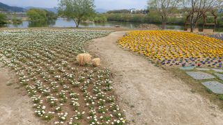 박태옥님의 자유주제 · 자유게시판 작성글 사진