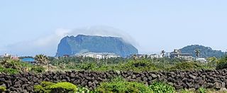 문도연님의 자유주제 · 사진전 작성글 사진