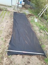 팜모닝 장터이야기·자유게시판 게시글 이미지