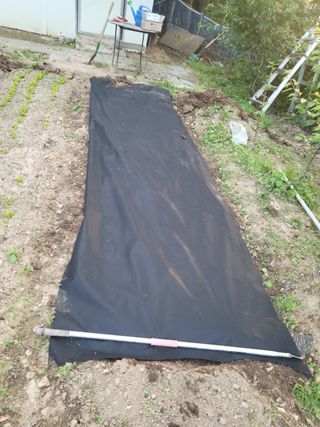 김광대님의 장터이야기 · 자유게시판 작성글 사진