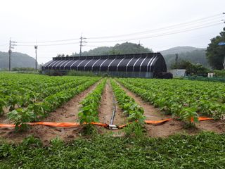 고추19824님의 자유주제 · 사진전 작성글 사진