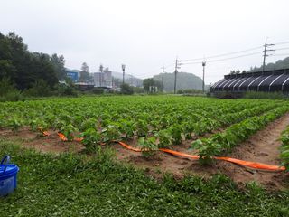 고추19824님의 자유주제 · 사진전 작성글 사진