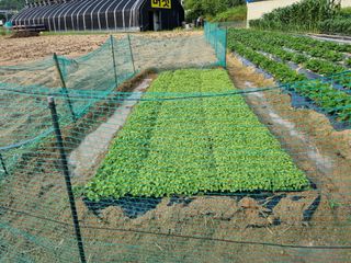 고추19824님의 자유주제 · 사진전 작성글 사진