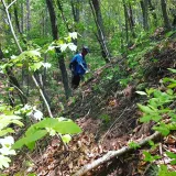 팜모닝 · 게시글 이미지