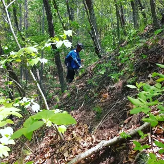 이성수님의 작성글 사진