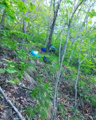 이성수님의 작성글 사진