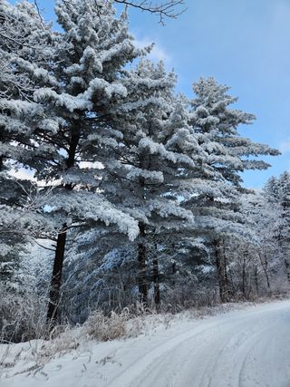 귀산촌님의 자유주제 · 사진전 작성글 사진
