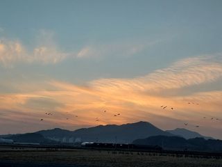 김해농부허외순님의 자유주제 · 사진전 작성글 사진