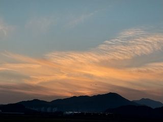 김해농부허외순님의 자유주제 · 사진전 작성글 사진