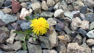 송월명님의 자유주제 · 사진전 작성글 사진