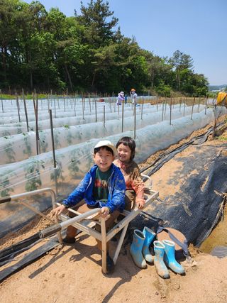 강성복 님의 자유주제 · 사진전 작성글 사진