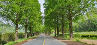 인동초재옥님의 자유주제 · 사진전 작성글 사진