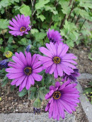 귤20971님의 자유주제 · 자유게시판 작성글 사진