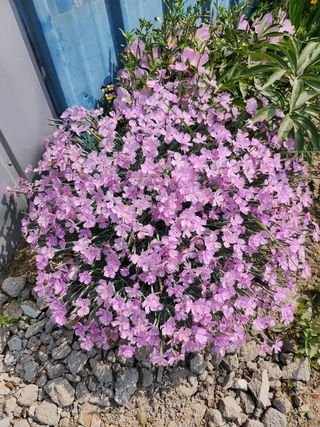 귤20971님의 자유주제 · 자유게시판 작성글 사진