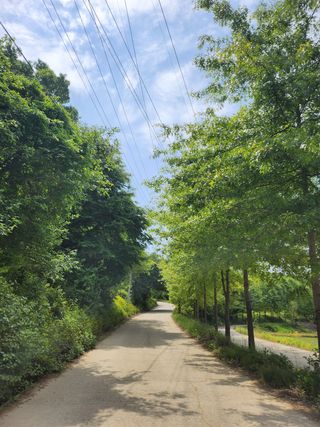 귤20971님의 자유주제 · 자유게시판 작성글 사진