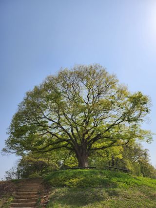 귤20971님의 자유주제 · 자유게시판 작성글 사진