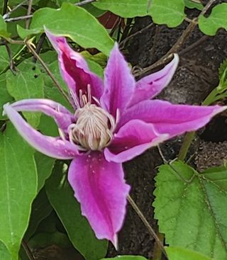 귤20971님의 자유주제 · 자유게시판 작성글 사진