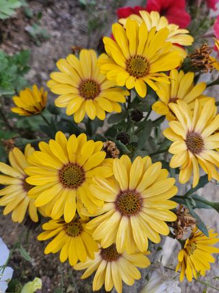 귤20971님의 자유주제 · 자유게시판 작성글 사진