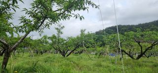 조문기님의 자유주제 · 사진전 작성글 사진