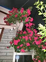 팜모닝 자유주제·자유게시판 게시글 이미지