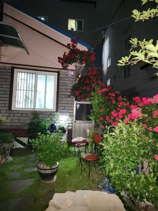 kis님의 자유주제 · 자유게시판 작성글 사진