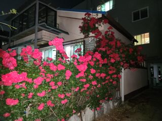 kis님의 자유주제 · 자유게시판 작성글 사진