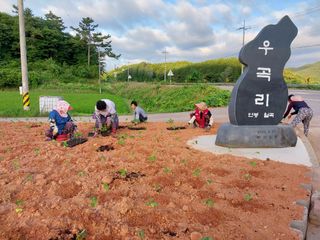 태양초님의 자유주제 · 사진전 작성글 사진