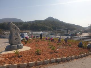 태양초님의 자유주제 · 사진전 작성글 사진