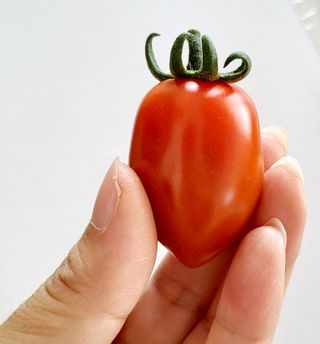 한미님의 작성글 사진