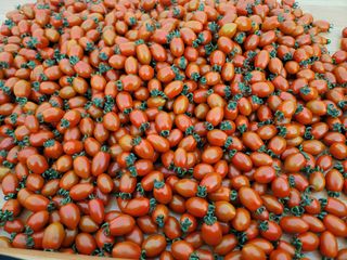 한미님의 작성글 사진