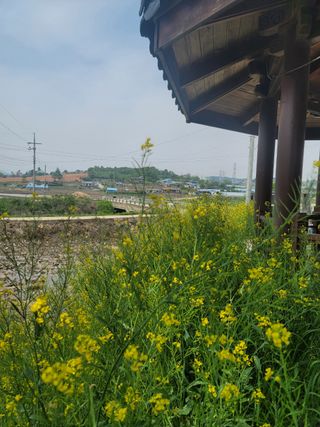 김영아님의 우리동네 · 동네자랑 작성글 사진