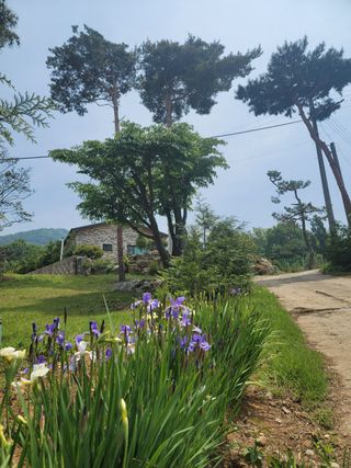 김영아님의 우리동네 · 동네자랑 작성글 사진