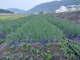 이주미님의 작성글 사진