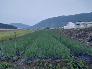 이주미님의 작성글 사진