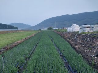 이주미님의 작성글 사진