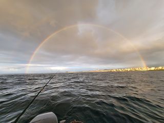 양영철님의 자유주제 · 자유게시판 작성글 사진