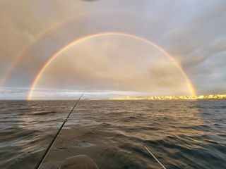 양영철님의 자유주제 · 자유게시판 작성글 사진