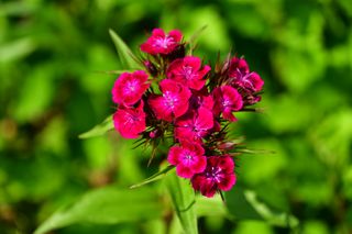 산 아래님의 마늘 · 일상 작성글 사진