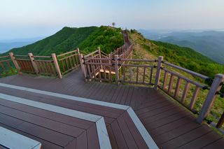 산 아래님의 마늘 · 일상 작성글 사진