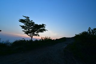 산 아래님의 마늘 · 일상 작성글 사진