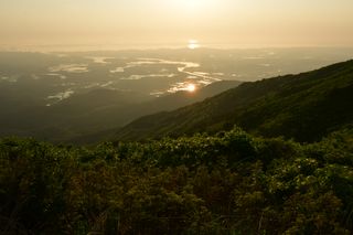 산 아래님의 마늘 · 일상 작성글 사진
