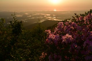 산 아래님의 마늘 · 일상 작성글 사진