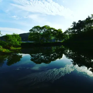 산 아래님의 마늘 · 일상 작성글 사진