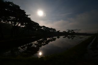 산 아래님의 마늘 · 일상 작성글 사진